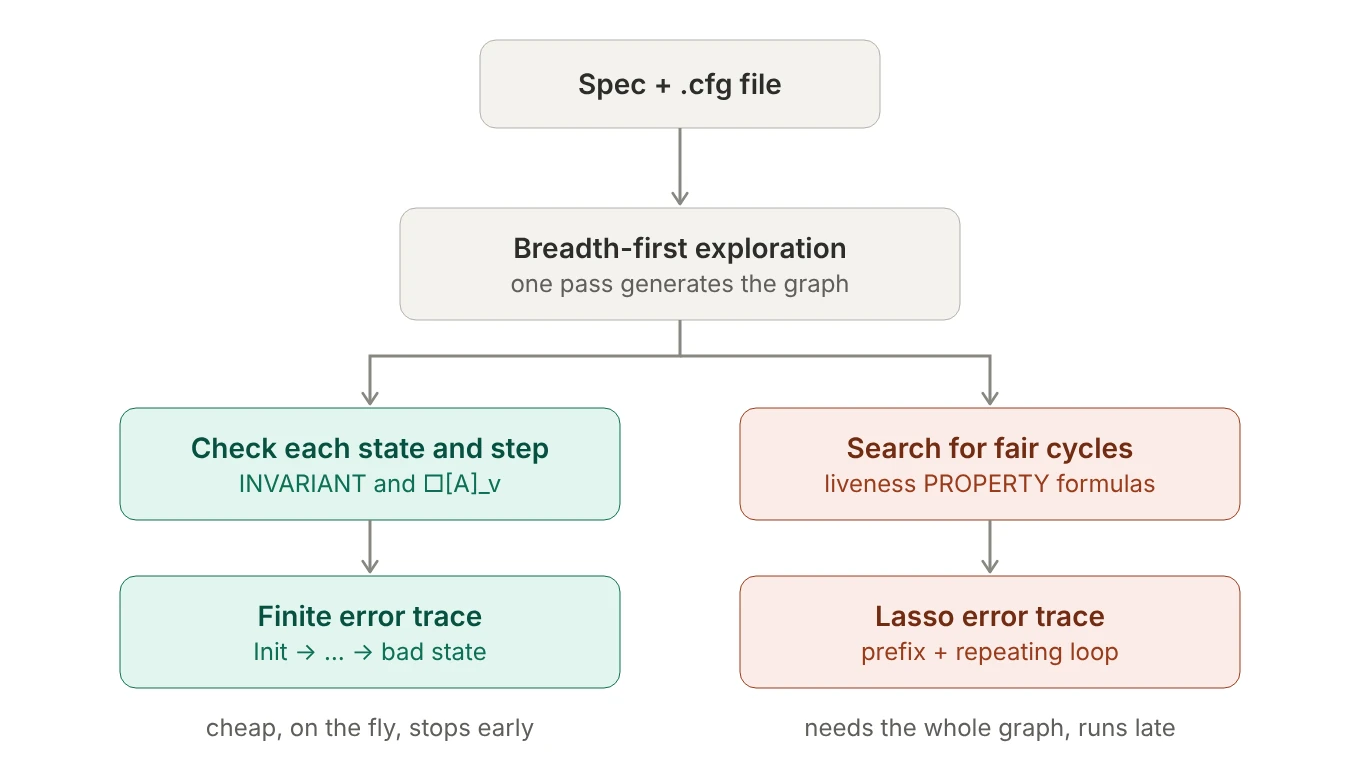 TLC explores states breadth-first once. Invariants and step properties are checked on each state and transition as they are generated, producing a finite trace. Liveness properties are checked by searching the stored graph for fair cycles, producing a lasso trace.